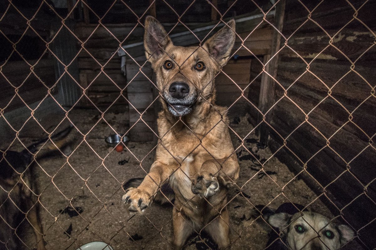 Но есть и те, кто сохранил веселье и задор
