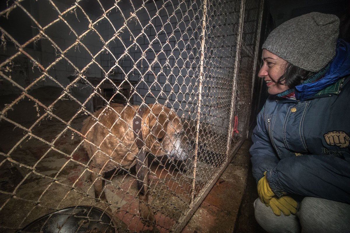 Когда уже меня заберут?