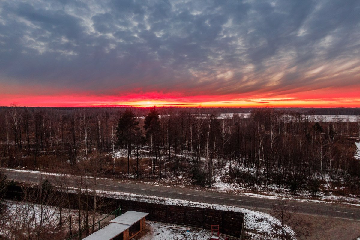 Обязательно приезжайте в "Сириус" - ради животных и такого прекрасного заката