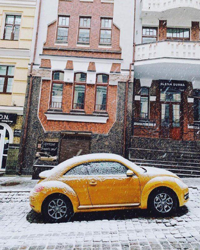 Никакой снег не сможет спрятать яркость. Фото: @tekso Никакой снег не сможет спрятать яркость. Фото: @tekso