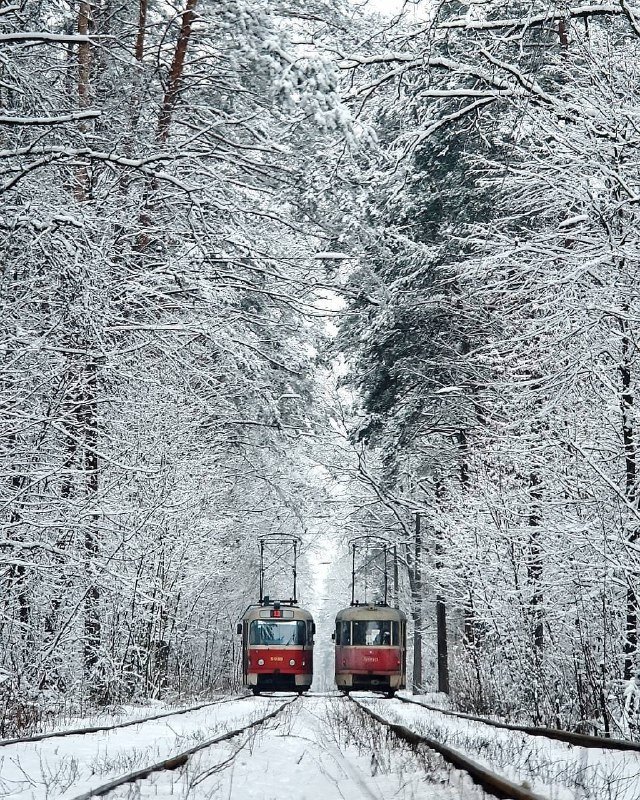 Передал эстафету. Фото: @istetsen Передал эстафету. Фото: @istetsen