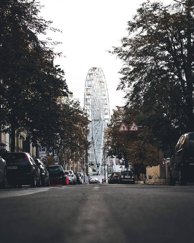 За несколько дней до снега... Фото: @dennysafonov_life За несколько дней до снега... Фото: @dennysafonov_life