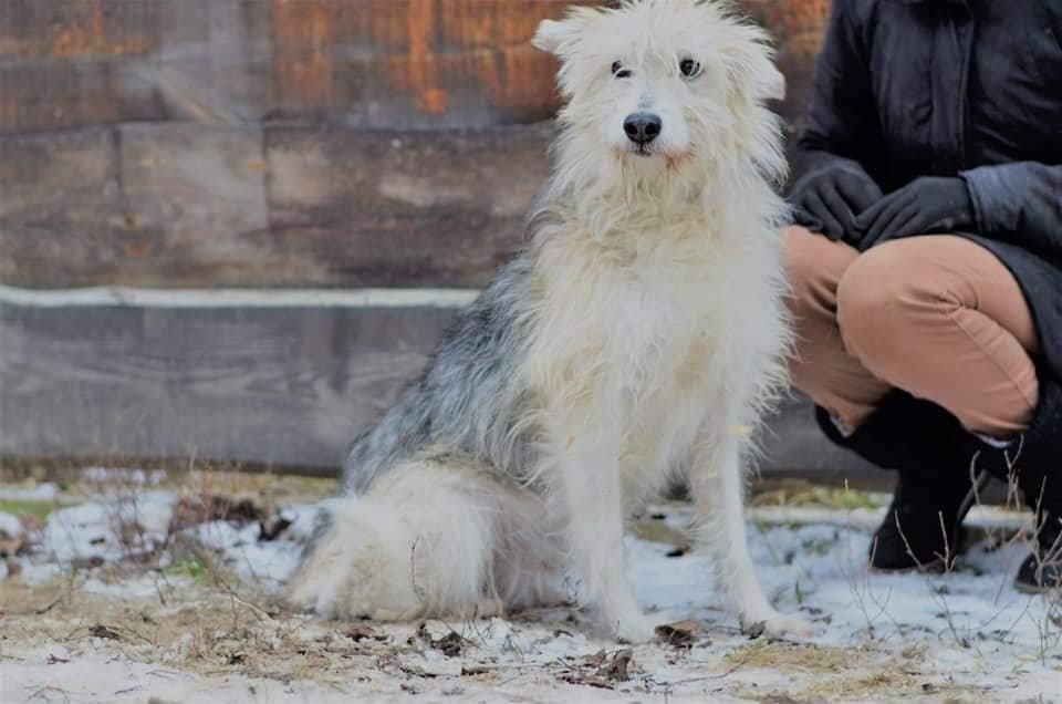 Миртл разуверилась в чуде, но оно обязательно должно с ней случиться Миртл разуверилась в чуде, но оно обязательно должно с ней случиться