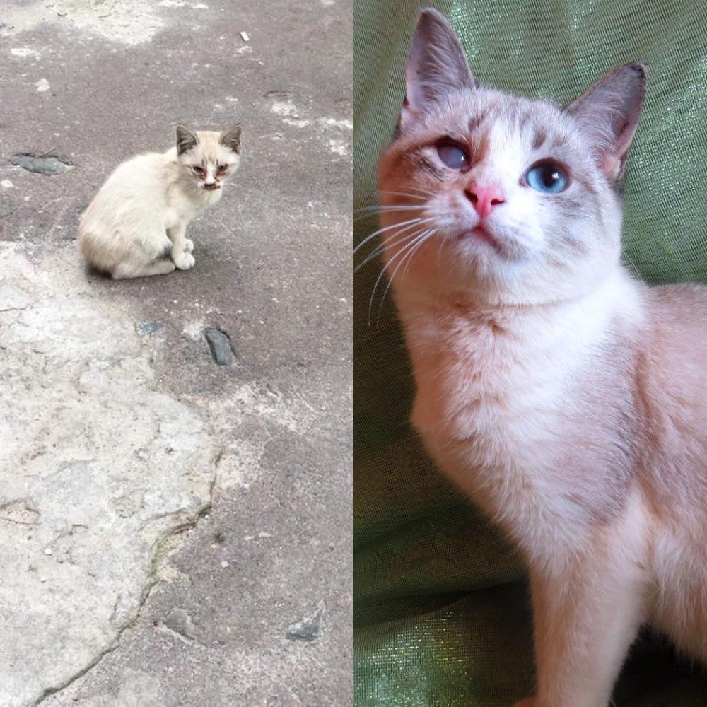 И пусть внешний дефект никак не влияет на первое впечатление. Шанелька - самая красивая и точка! И пусть внешний дефект никак не влияет на первое впечатление. Шанелька - самая красивая и точка!