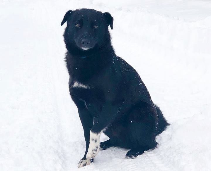 Скромный, но такой забавный Скэтмэн - ваш лучший подарок на Новый год Скромный, но такой забавный Скэтмэн - ваш лучший подарок на Новый год