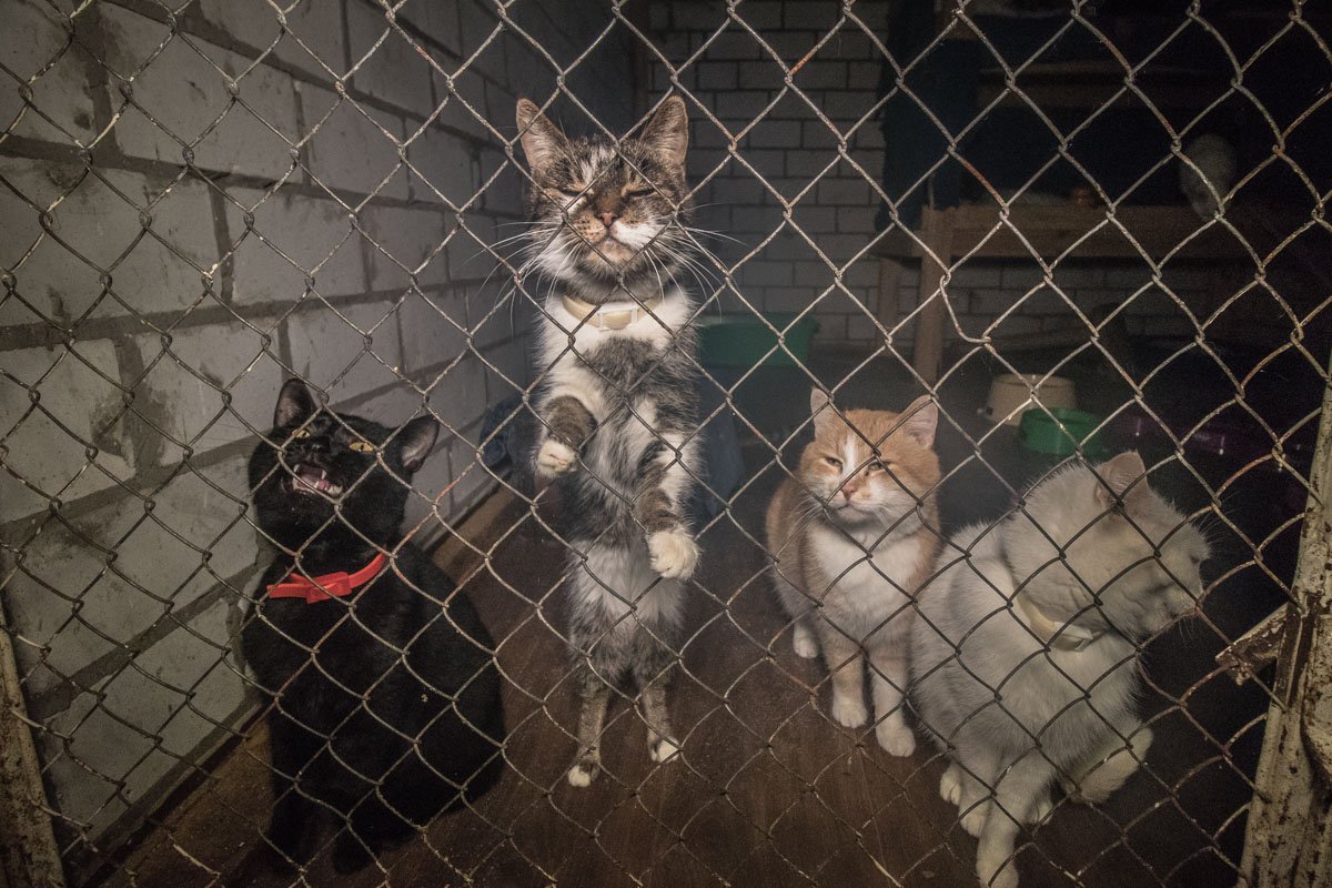 Им тоже нужно немножко тепла