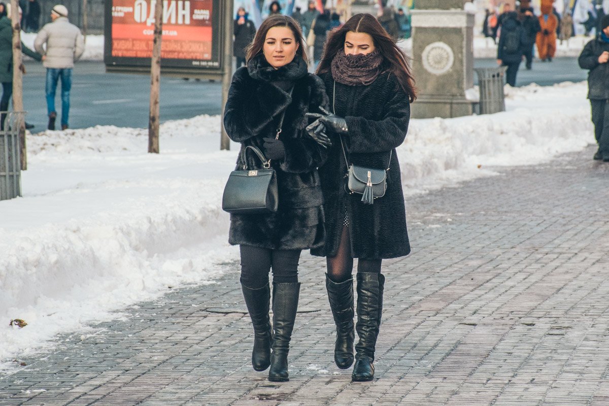 Дружба согревает даже в самые холодные деньки Дружба согревает даже в самые холодные деньки