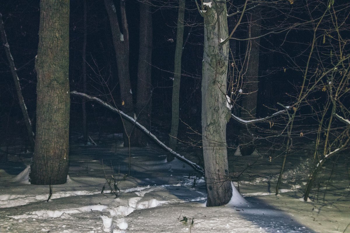 Тело лежало в зеленой зоне Тело лежало в зеленой зоне