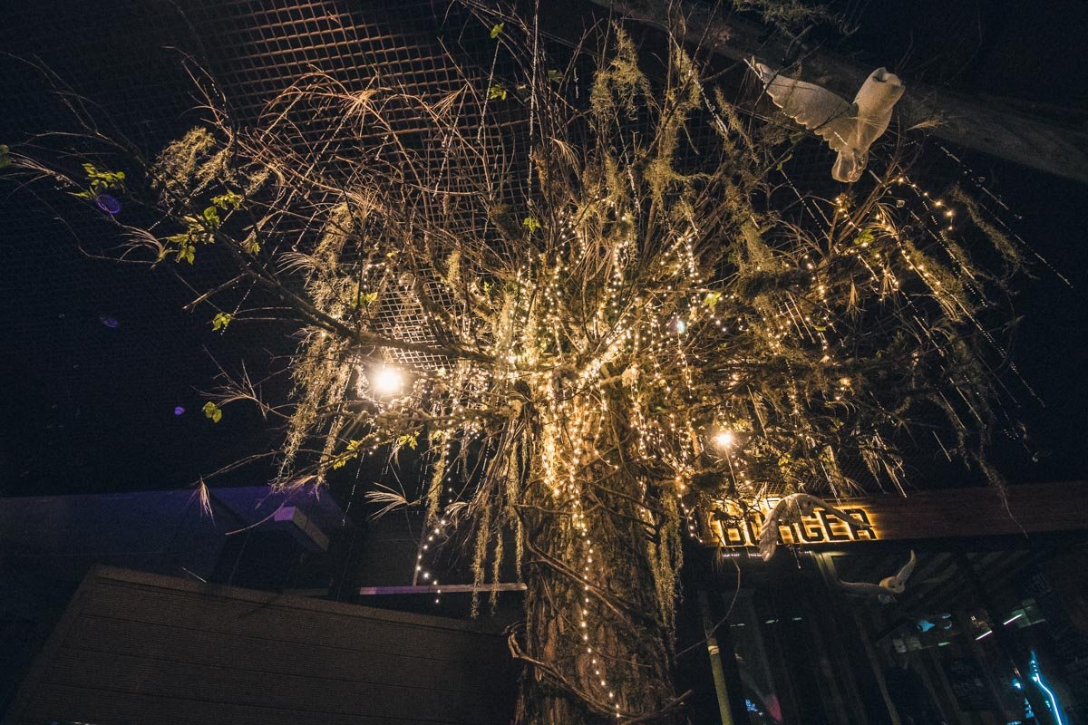 Праздничная иллюминация появилась на Софийской, Михайловской и Бессарабской площадях, а также на Крещатике Праздничная иллюминация появилась на Софийской, Михайловской и Бессарабской площадях, а также на Крещатике