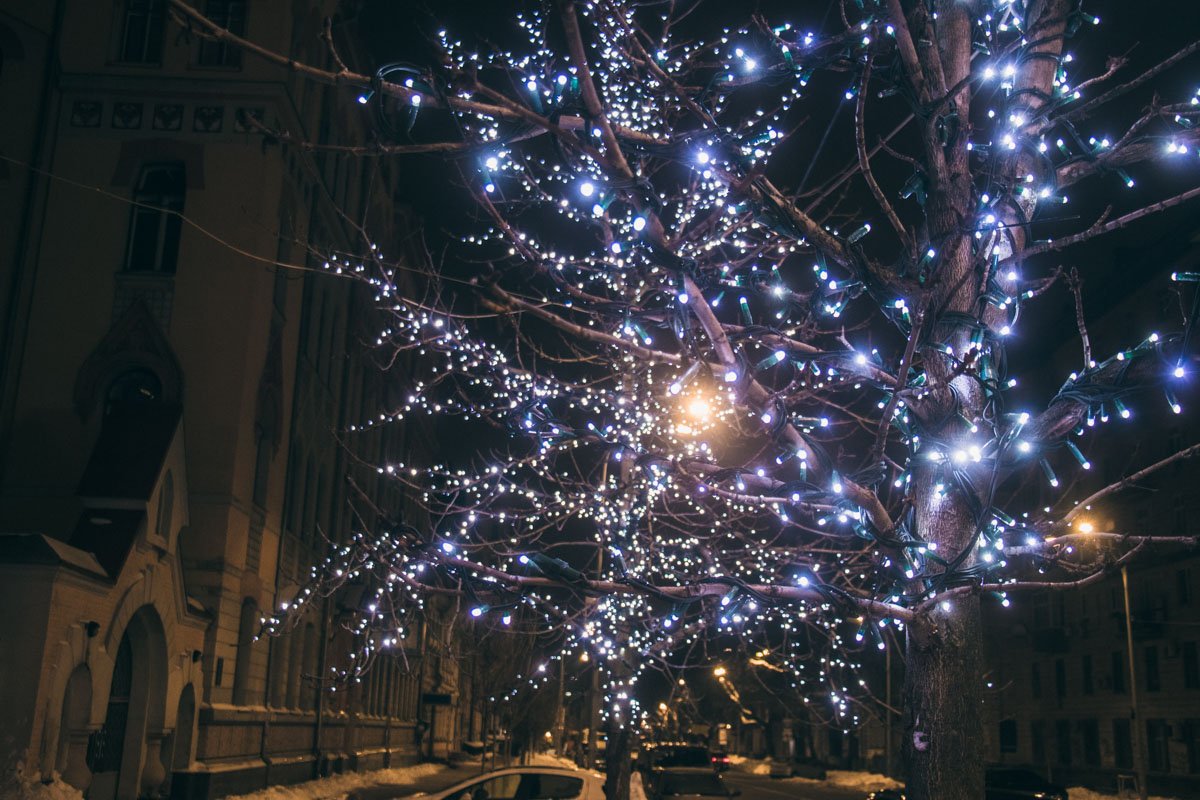 Гирлянды светят огнями самых разных цветов Гирлянды светят огнями самых разных цветов