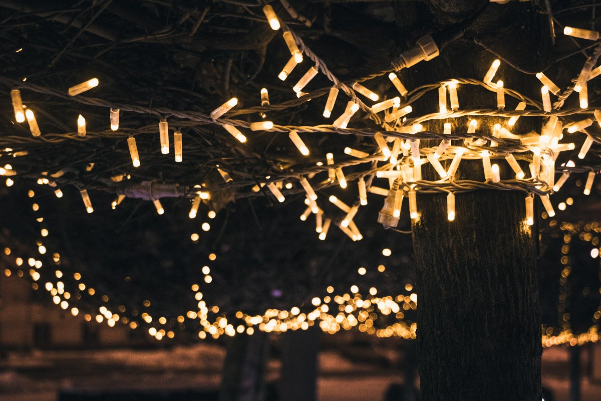 Гирлянды красиво обвернули вокруг стволов и листьев деревьев Гирлянды красиво обвернули вокруг стволов и листьев деревьев