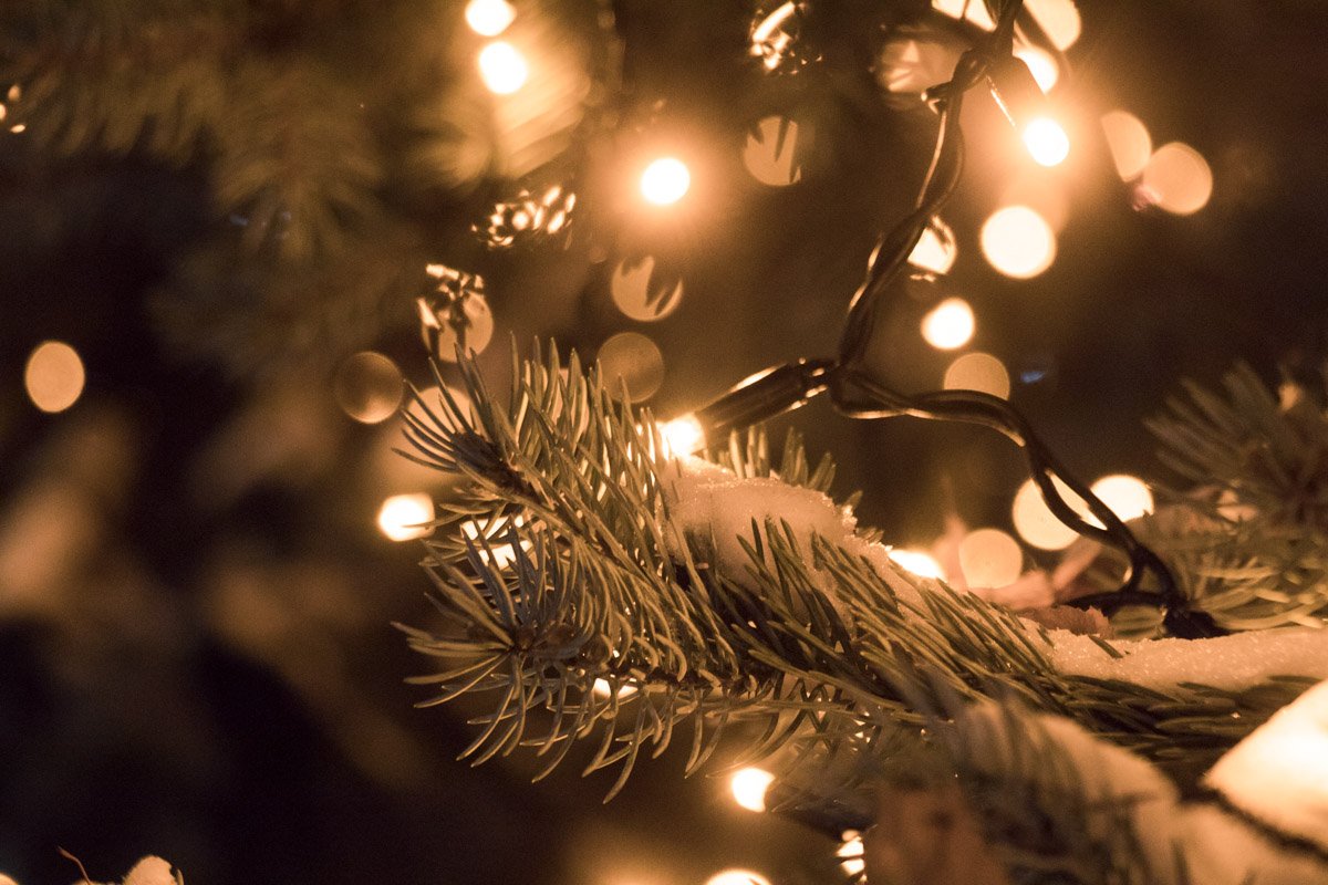 Снег и огоньки на ветках елок словно пробуждают новогоднее настроение Снег и огоньки на ветках елок словно пробуждают новогоднее настроение