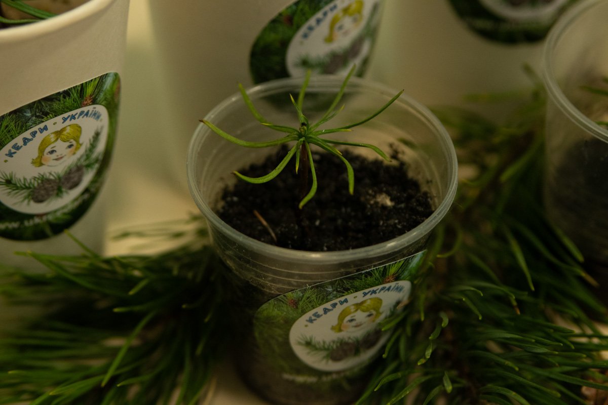 Участники соберутся на Крещатике у здания ЦУМа, а оттуда организованной колонной проследуют в Мариинский парк Участники соберутся на Крещатике у здания ЦУМа, а оттуда организованной колонной проследуют в Мариинский парк