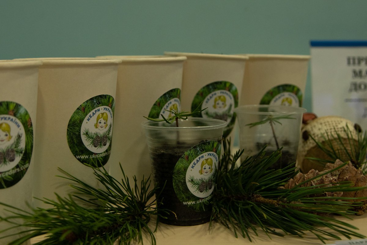 Так как по новогодним правилам стать настоящим Эко Дедушкой можно только если длина вашей бороды превышает 12 сантиметров Так как по новогодним правилам стать настоящим Эко Дедушкой можно только если длина вашей бороды превышает 12 сантиметров