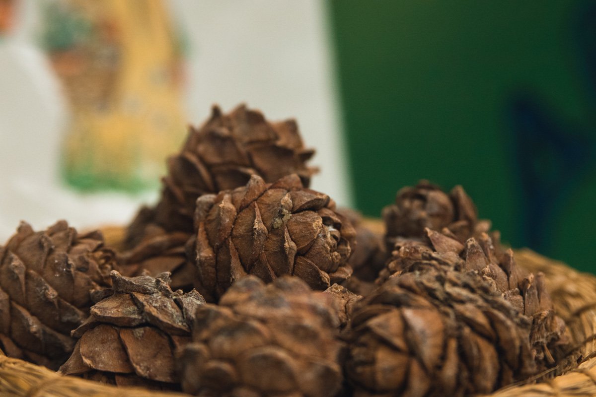 Если вы придерживайтесь здорового образа жизни и бережете природу, это мероприятие именно для вас Если вы придерживайтесь здорового образа жизни и бережете природу, это мероприятие именно для вас