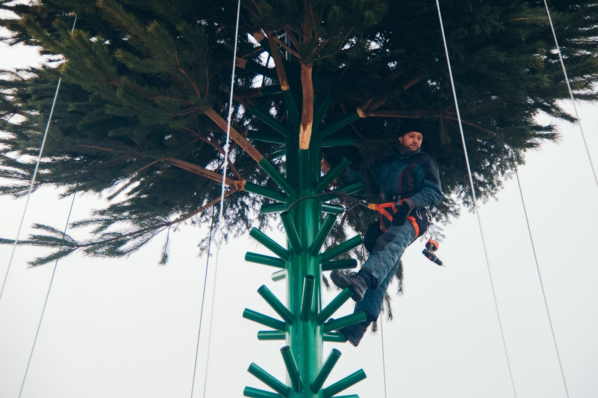 6 декабря в центре Киева на Софийской площади начали устанавливать главную новогоднюю елку страны 6 декабря в центре Киева на Софийской площади начали устанавливать главную новогоднюю елку страны