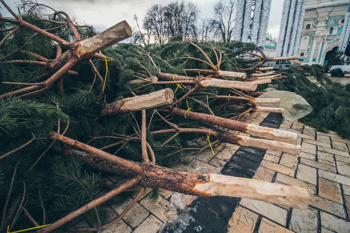 Коммунальщики уже приступили к креплению веток дерева к новогодней елке Коммунальщики уже приступили к креплению веток дерева к новогодней елке