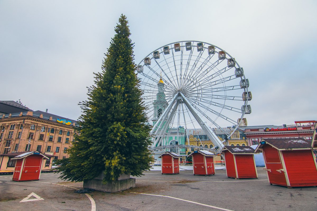 У колеса обозрения установили елку У колеса обозрения установили елку