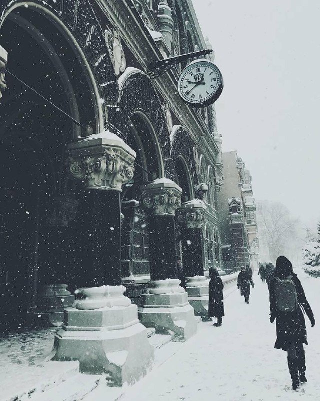 Похоже, мы прошли платформу 9 и 3/4. Фото: @tru_v_photography