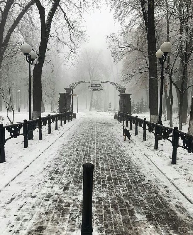 За меланхоличным настроением - в Мариинку! Фото: @kievlike_
