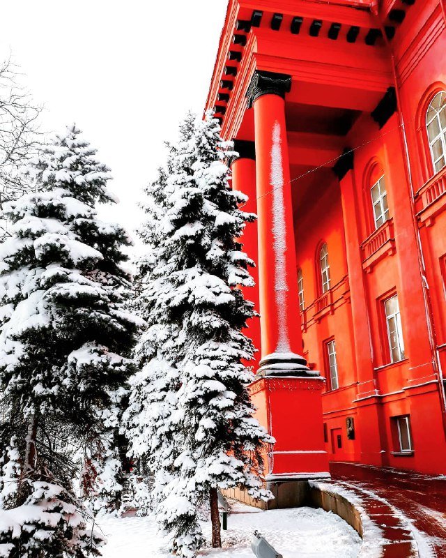 Цвет любви на фоне черно-белых улиц. Фото: @katrusia_sobko