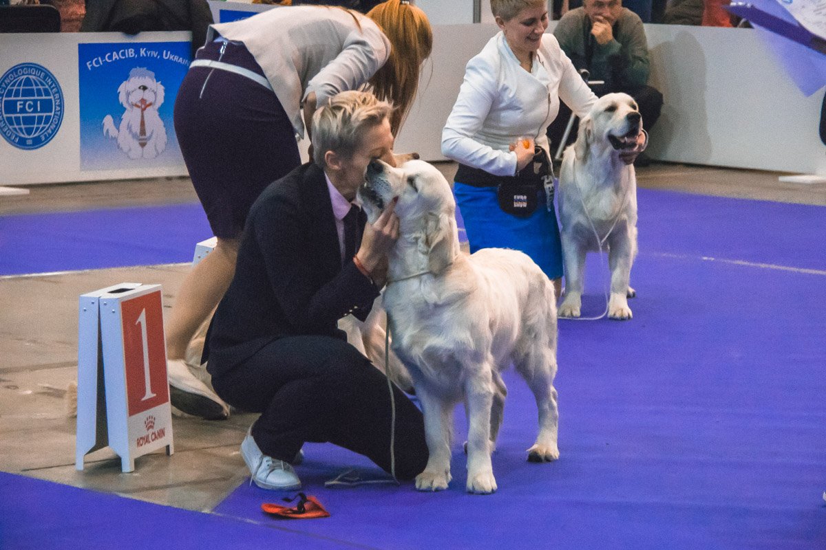 Любовь и забота - формула успеха