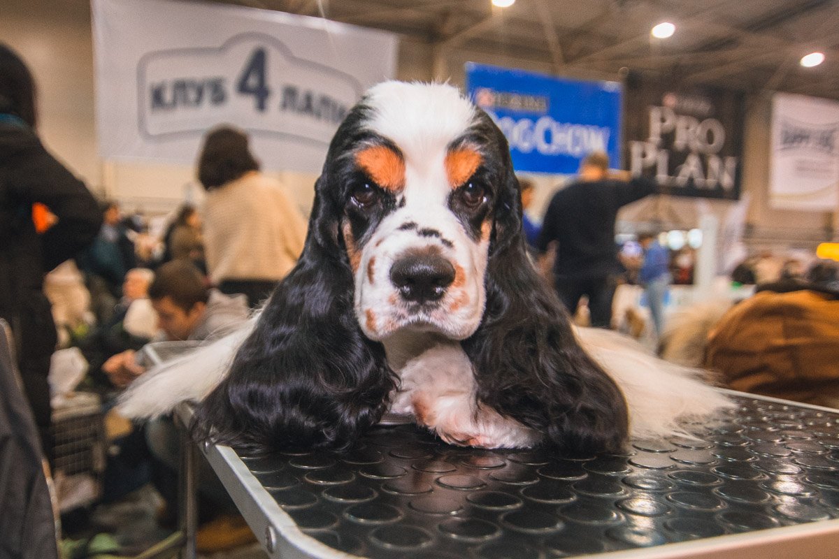 Я самая красивая, не так ли?