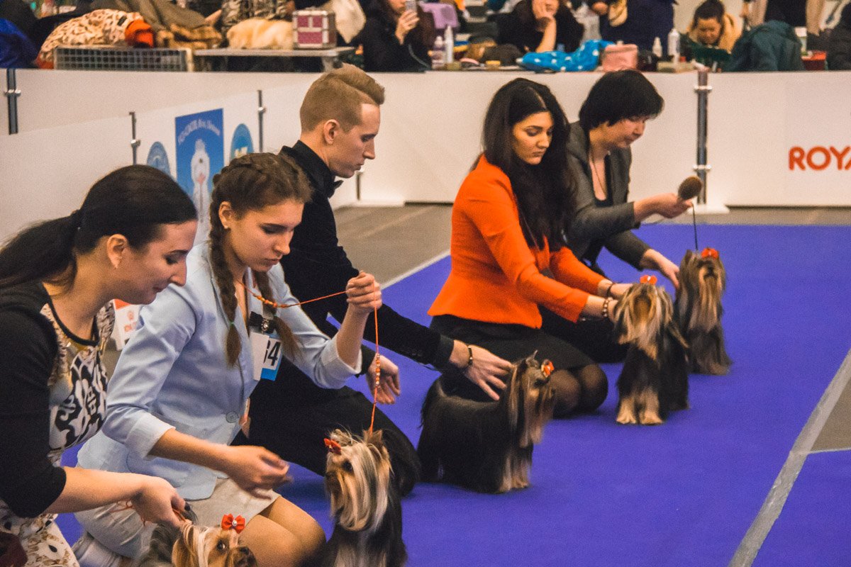 Бантики поправили - и вперед к победе!