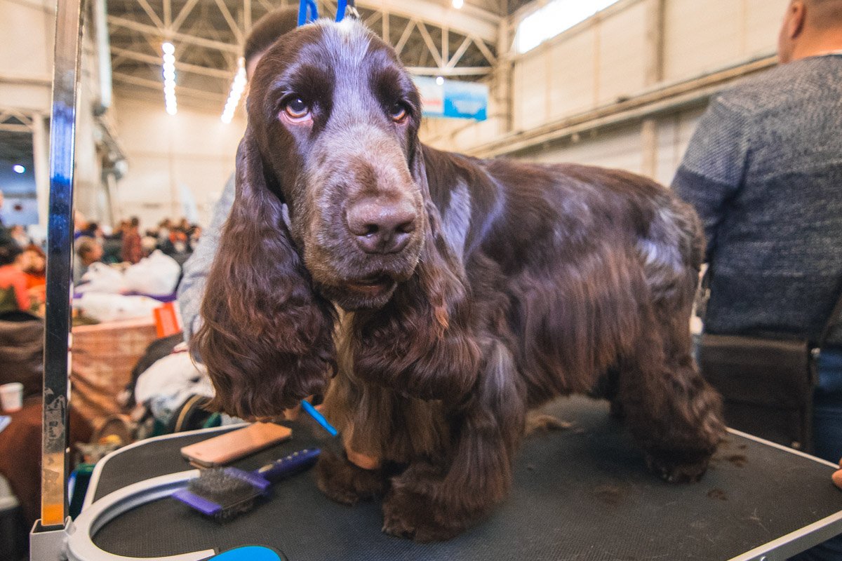 Расчесывают меня, расчесывают... 