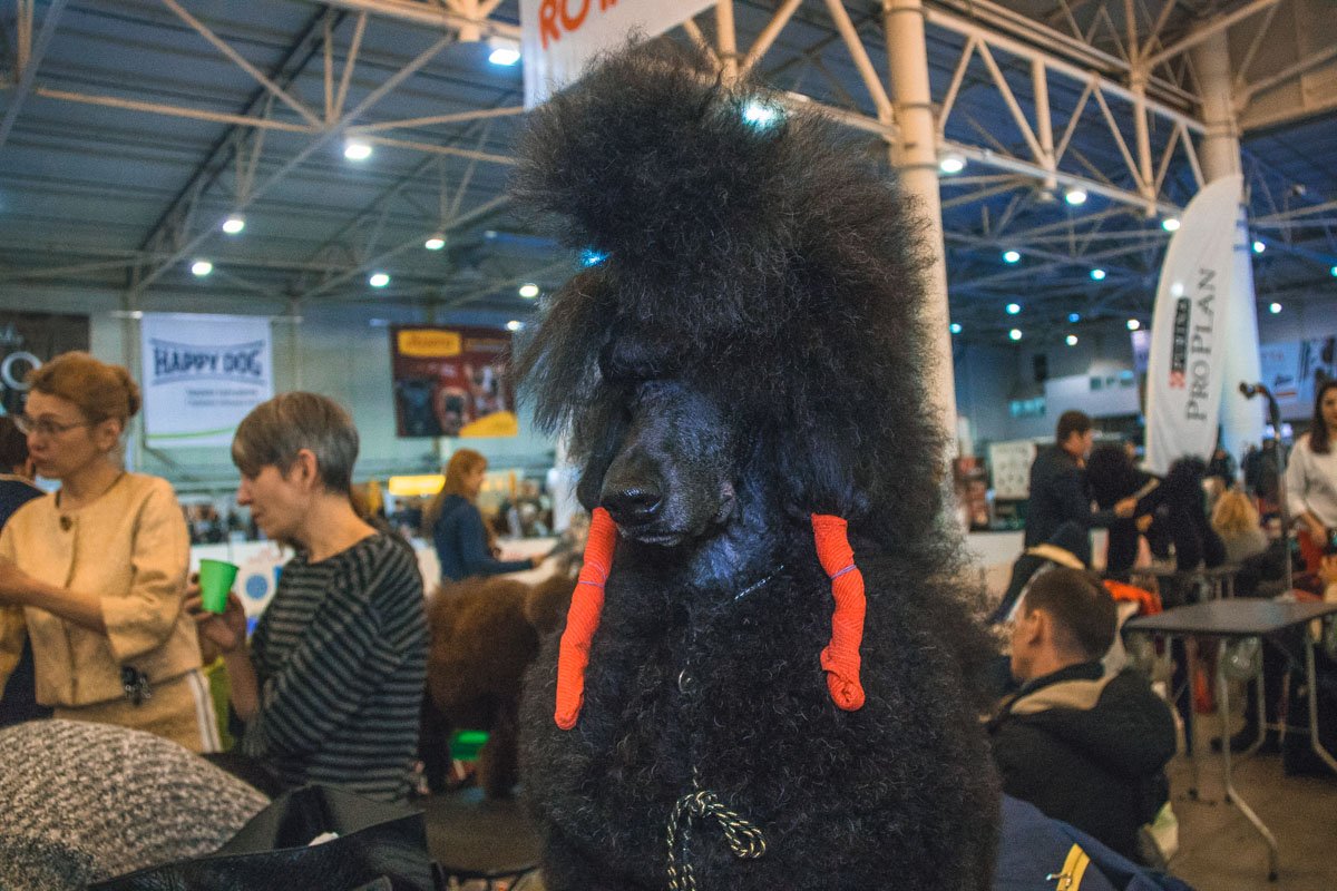 Добавить яркие аксессуары - и образ готов!