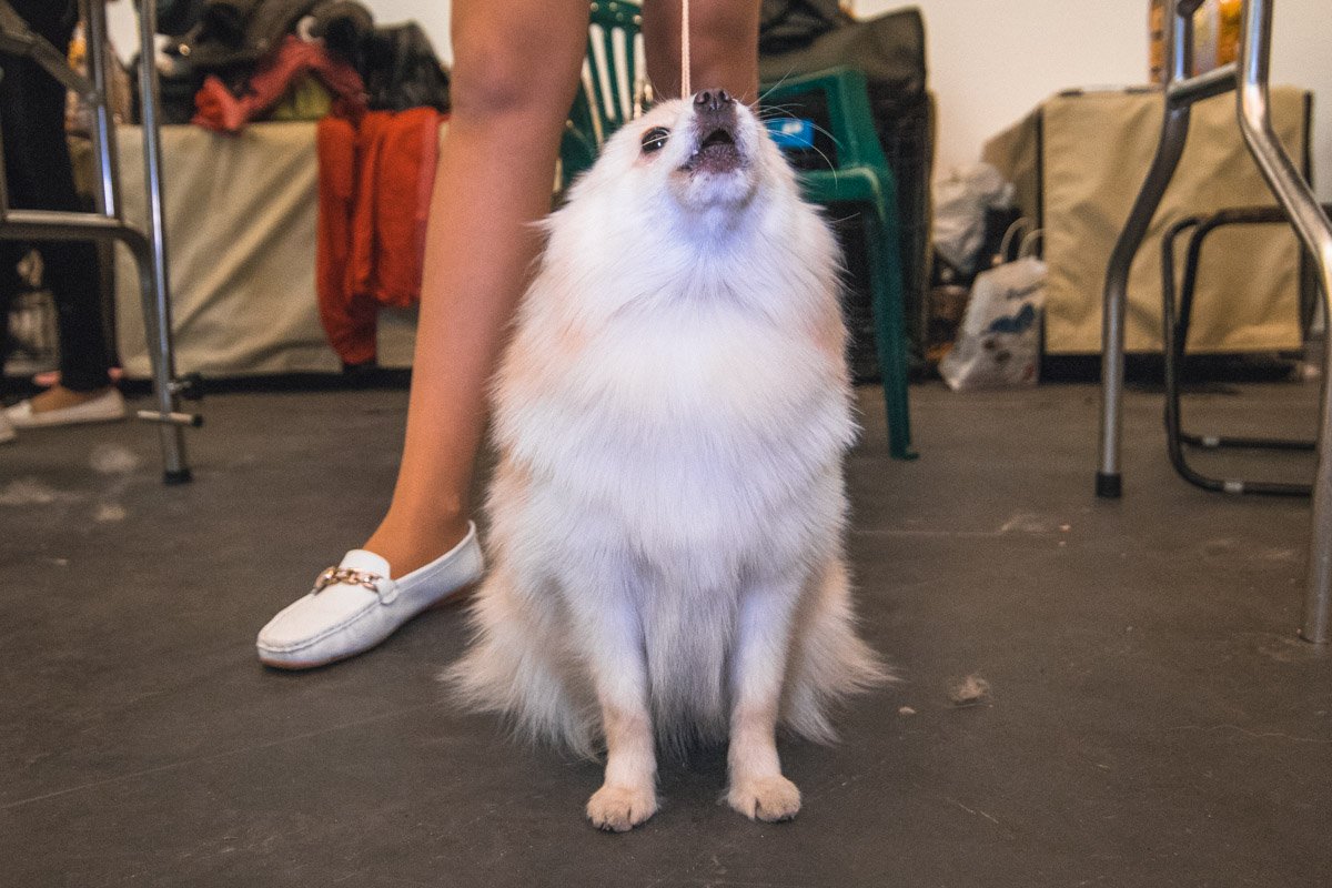 Я выиграю-ю-ю-ю!