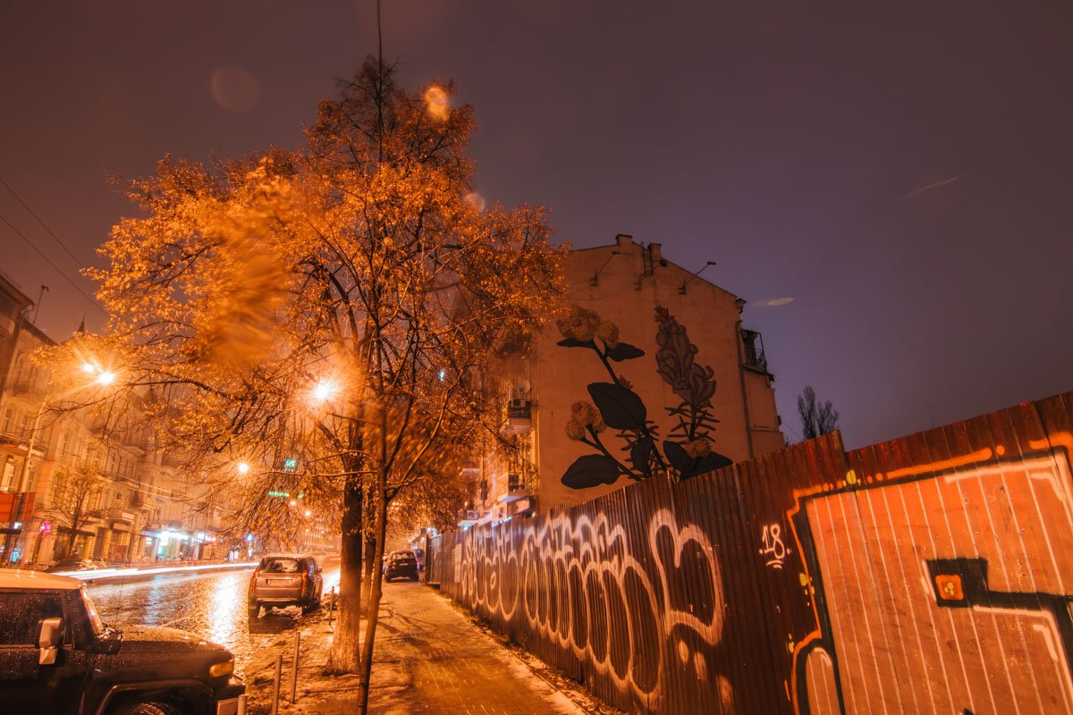 Прекрасное можно заметить в мелочах Прекрасное можно заметить в мелочах