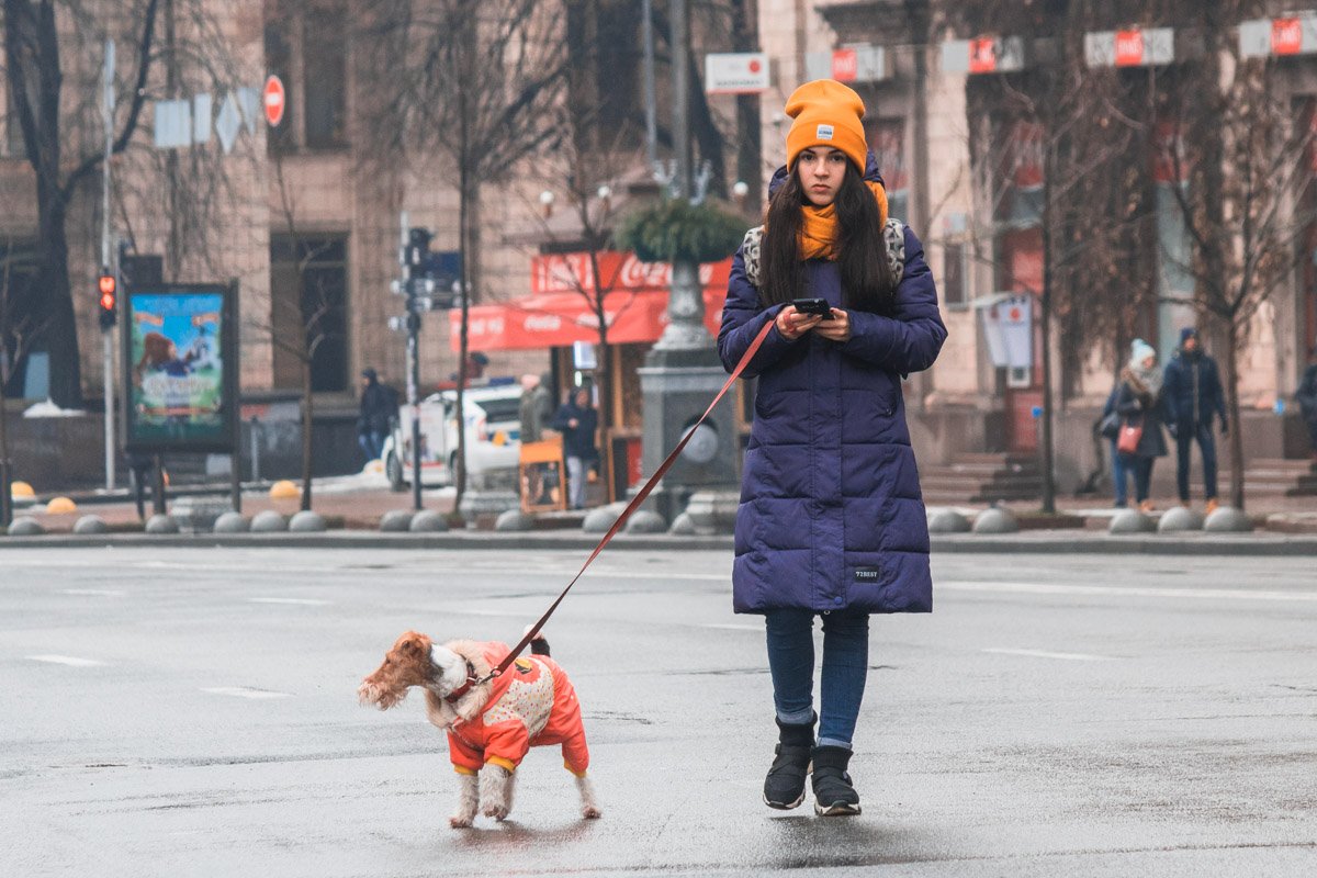 Прогулки с другом - это прекрасно. Особенно, если он четырехлапый Прогулки с другом - это прекрасно. Особенно, если он четырехлапый