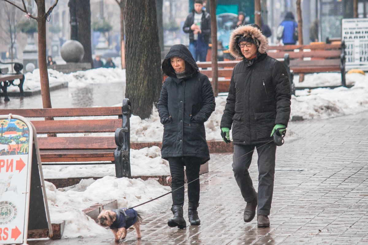 Что же она там увидела? Что же она там увидела?