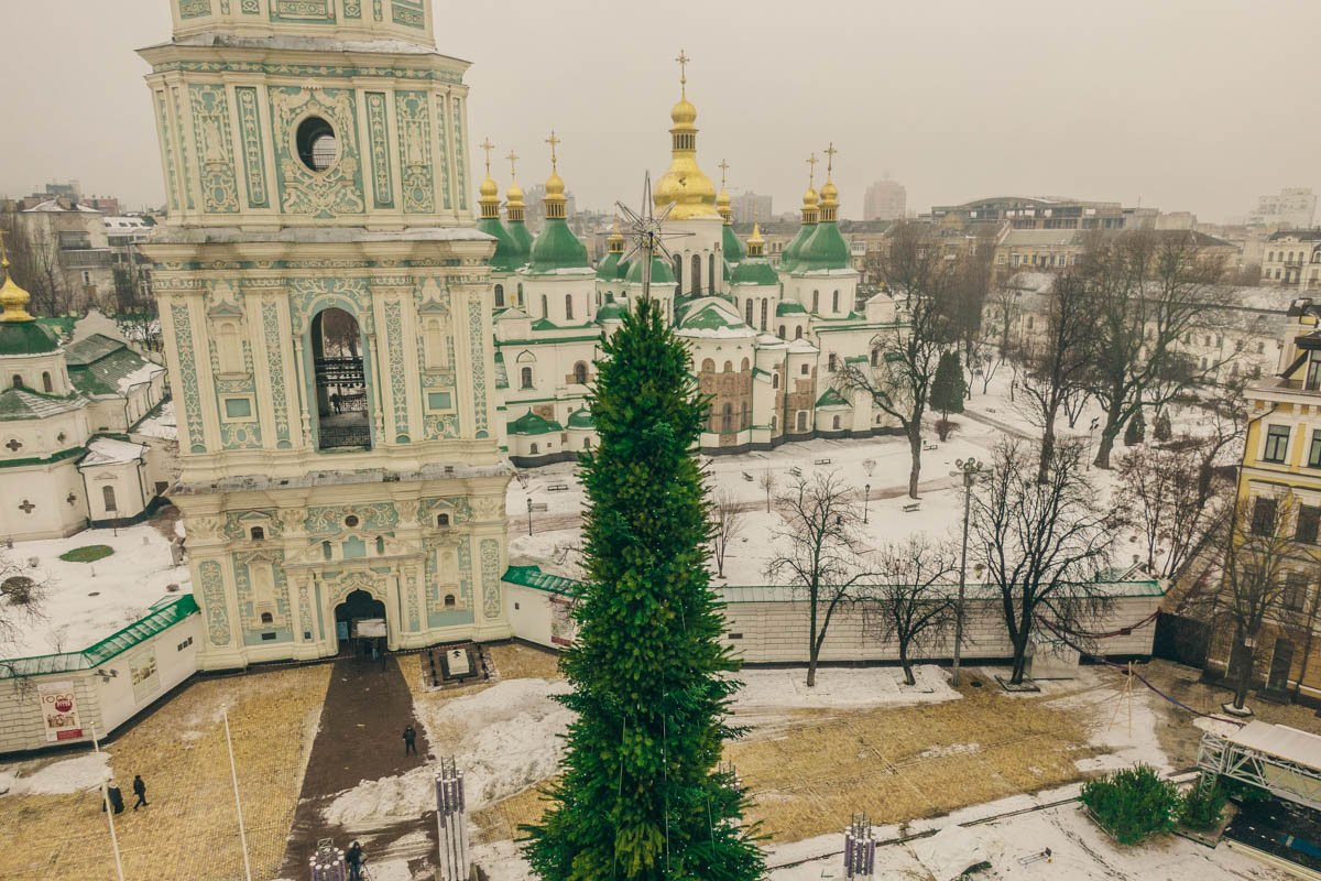 Высота ели - около 27 метров Высота ели - около 27 метров