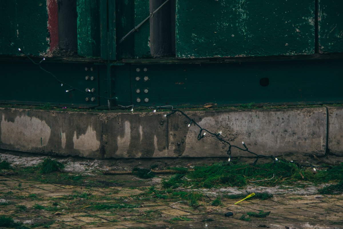 Возле дерева поставят интерактивный экран Возле дерева поставят интерактивный экран