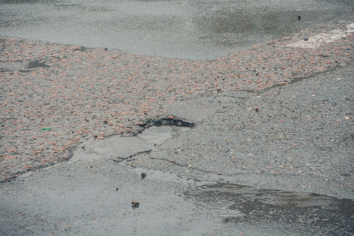 Сейчас дорога усеяна ямами и трещинами, которые усложняют движение транспорта Сейчас дорога усеяна ямами и трещинами, которые усложняют движение транспорта