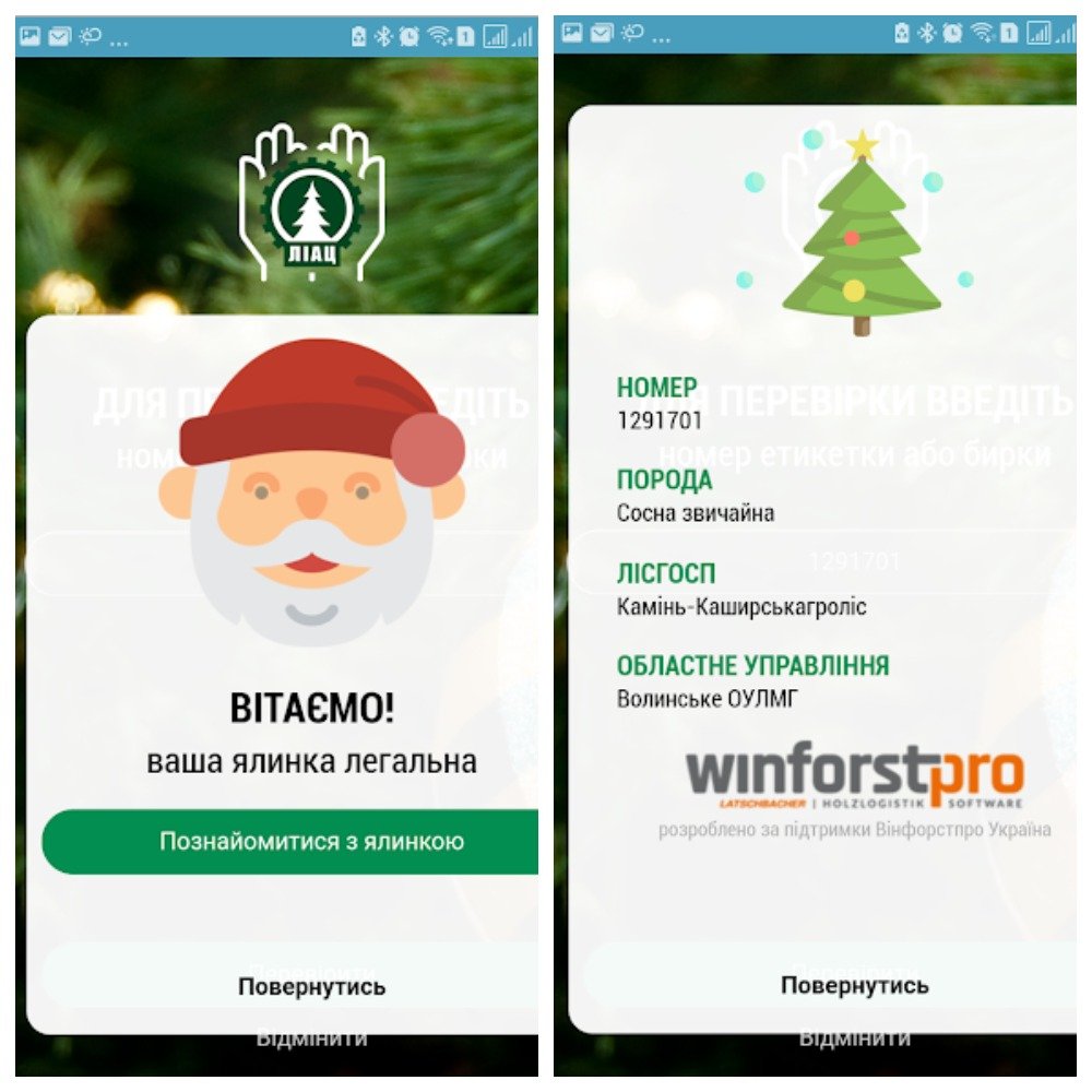 После проверки введенного номера, в случае, если елка законная, приложение вам это подтвердит и расскажет более подробно о деревце После проверки введенного номера, в случае, если елка законная, приложение вам это подтвердит и расскажет более подробно о деревце
