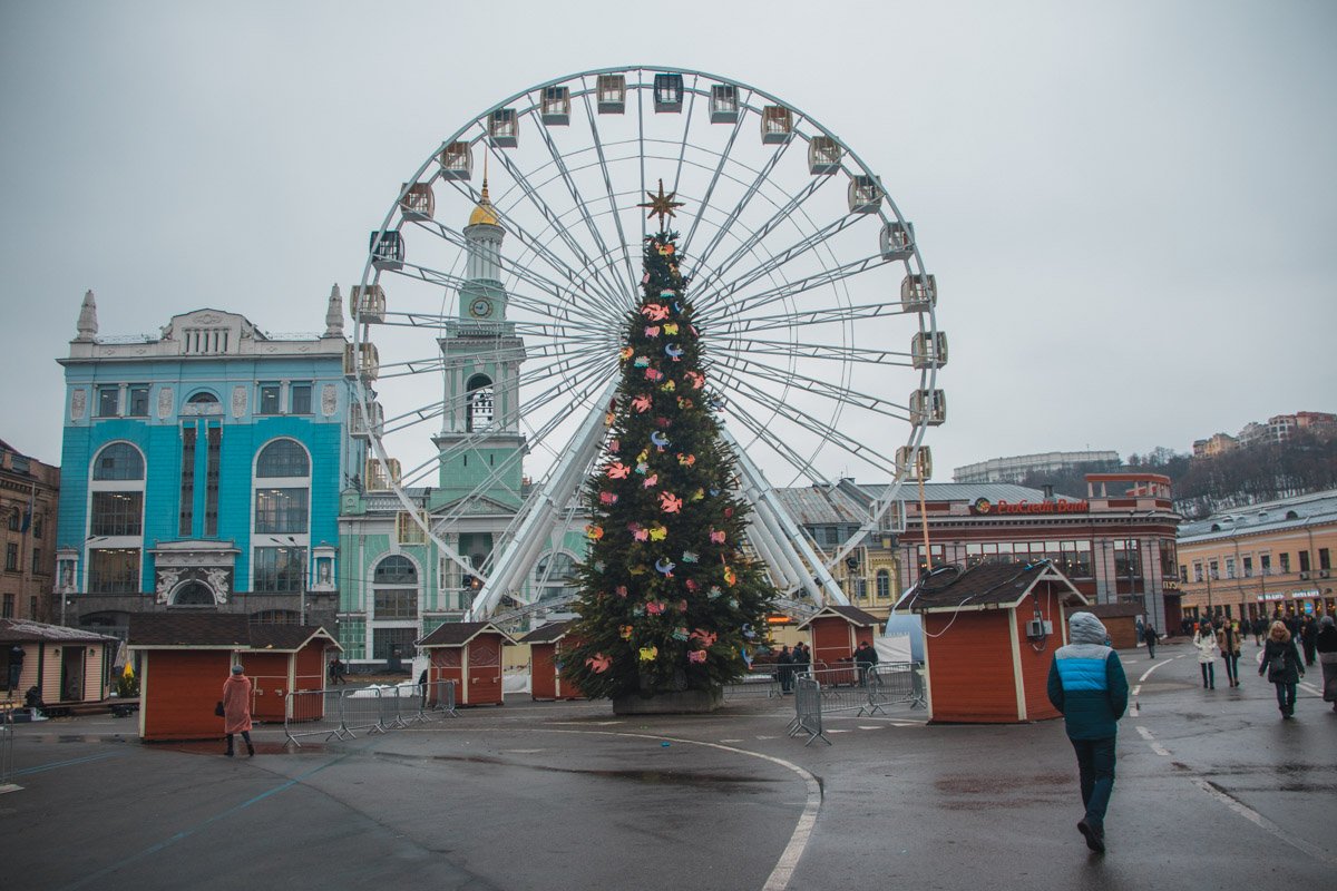 Елку украсили красочными игрушками Елку украсили красочными игрушками