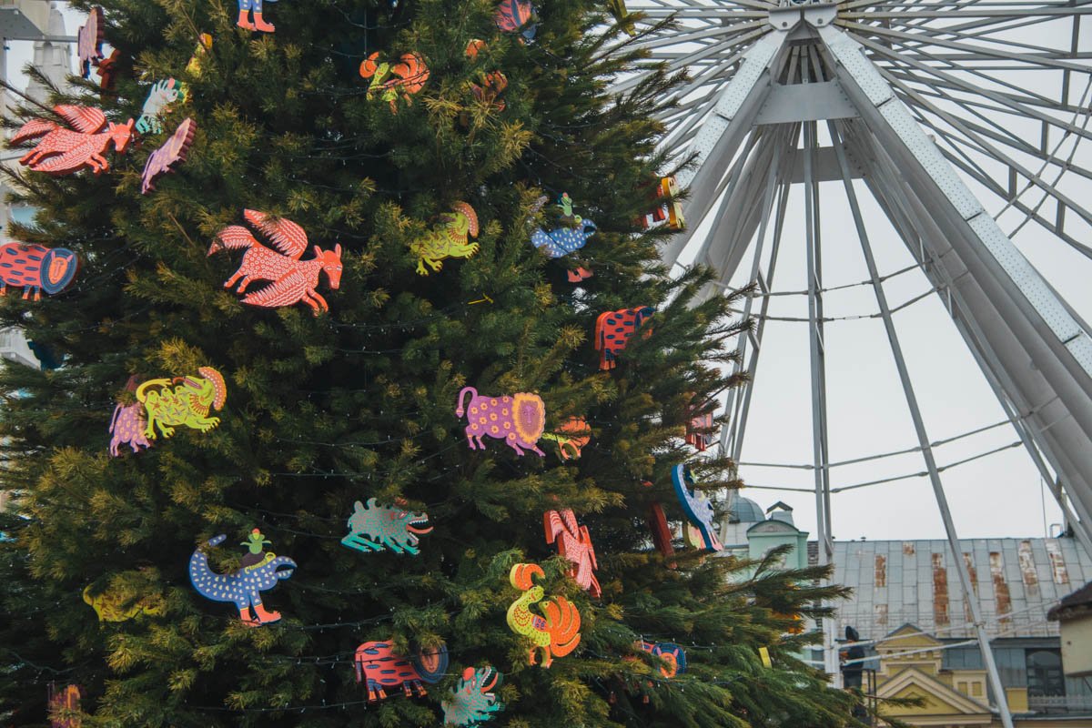 Вблизи можно рассматривать вечно Вблизи можно рассматривать вечно