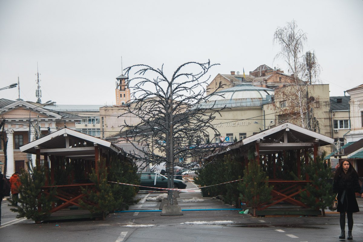 А к беседкам привязали живые елочки А к беседкам привязали живые елочки
