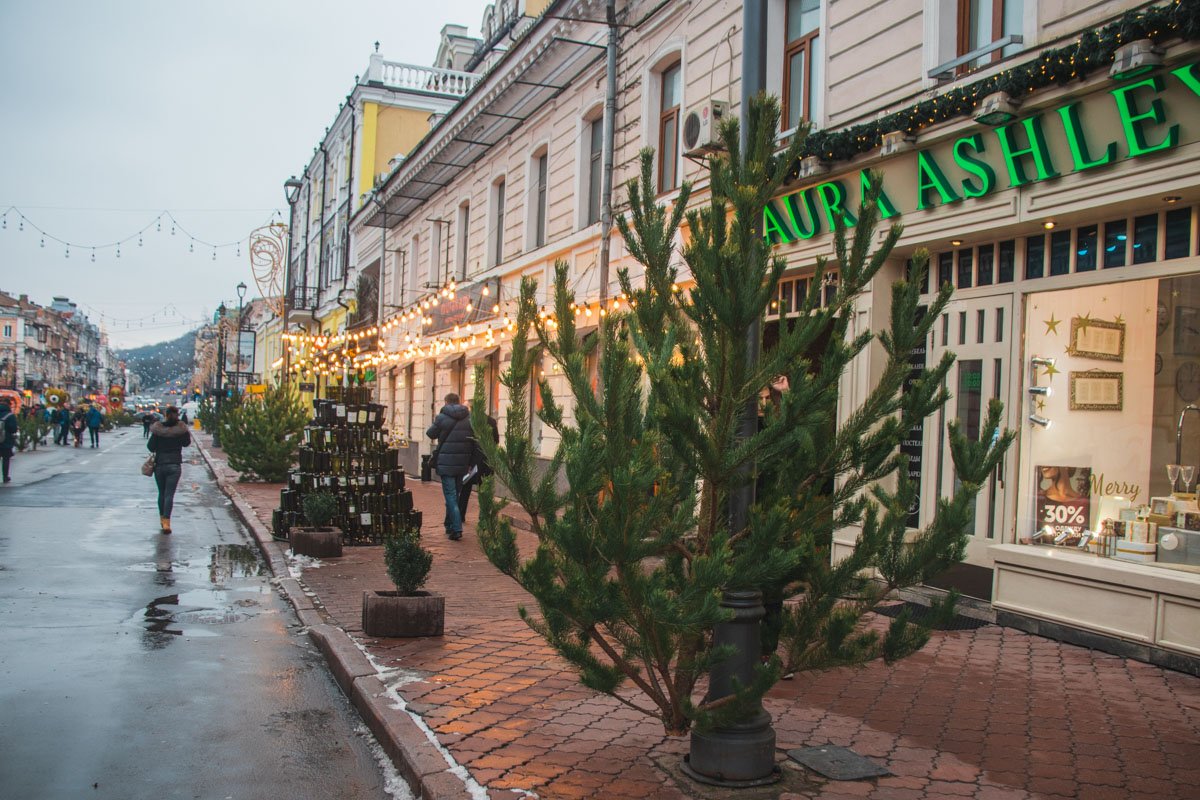 Также елки привязали к фонарным столбам Также елки привязали к фонарным столбам