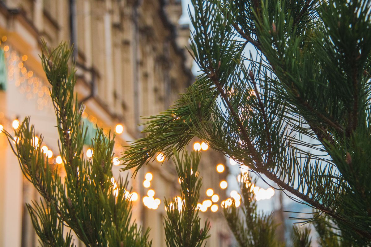 Хотя мы же еще не знаем конечного результата Хотя мы же еще не знаем конечного результата