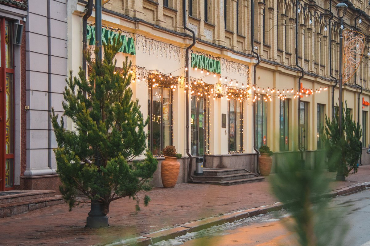 А другие утверждают, что не видят в этом ничего страшного - дома же тоже ставят живые елочки А другие утверждают, что не видят в этом ничего страшного - дома же тоже ставят живые елочки