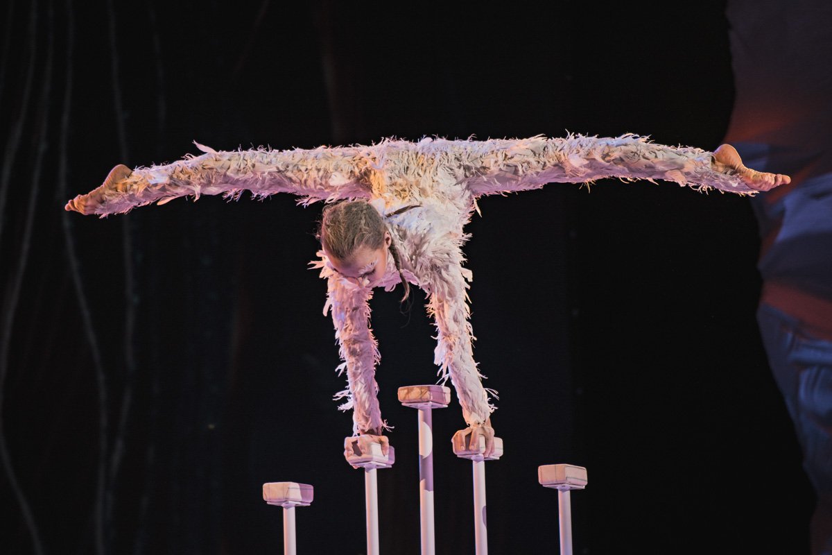 Здесь можно прочувствовать настоящую атмосферу зимы, праздников и любви