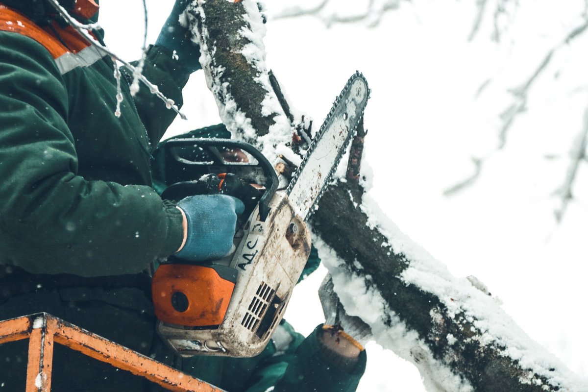 На место прибыли работники КП «Киевзеленстрой» чтобы распилить дерево