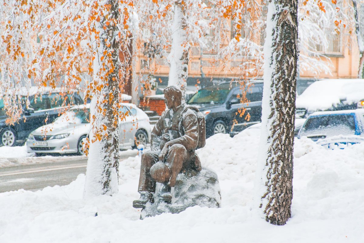 Присел полюбоваться 