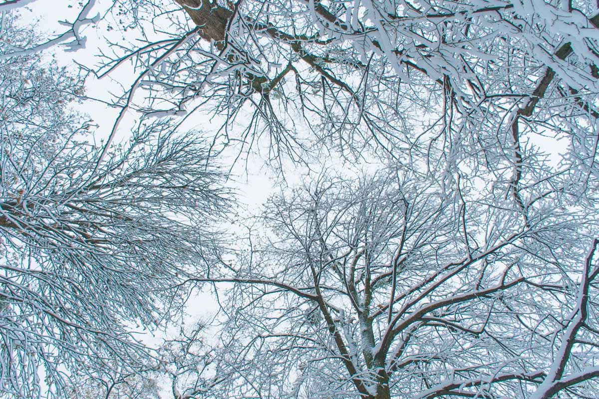 Пальцами до неба можно дотянуться 