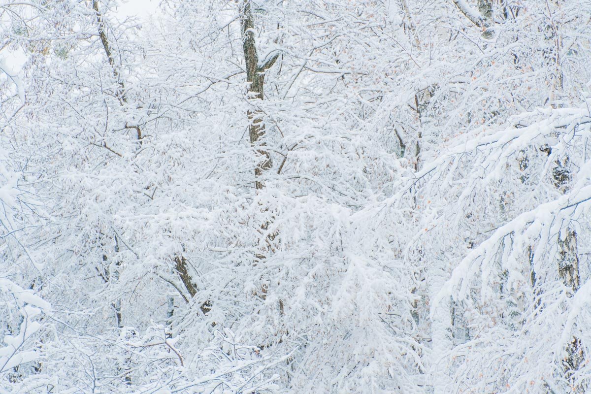 Идеальный пейзаж