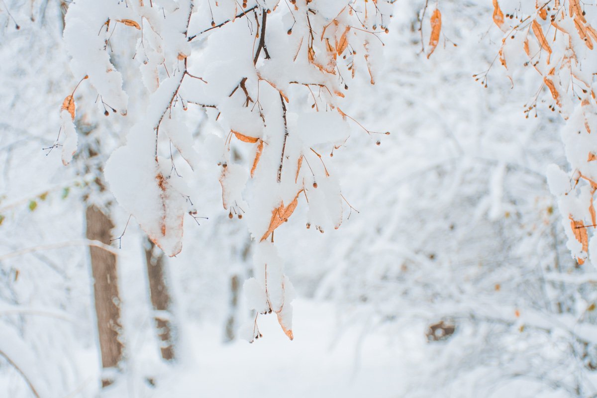 Волшебство в мелочах